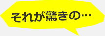 それが驚きの・・・